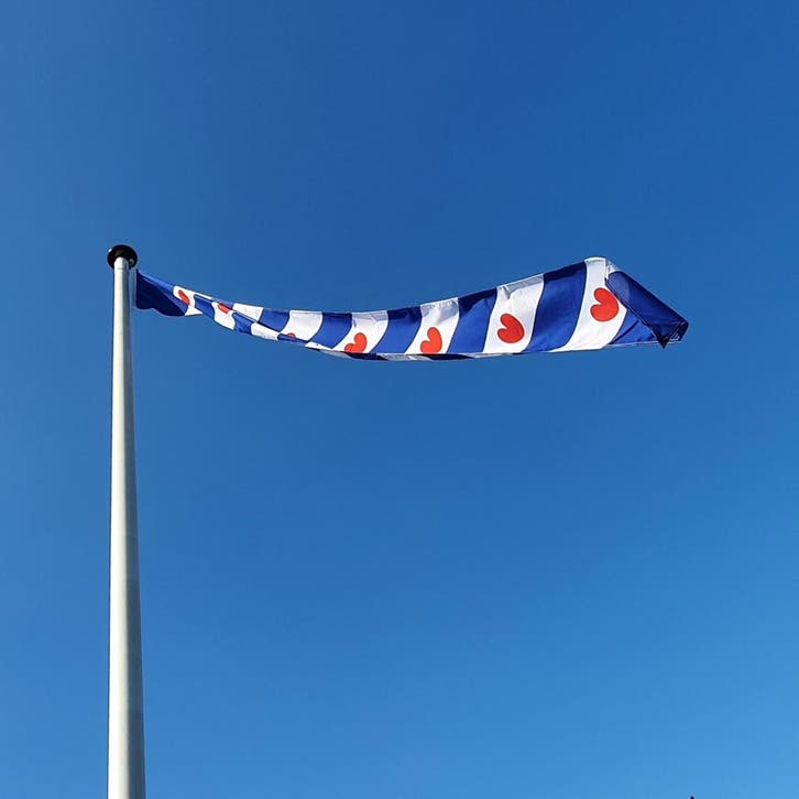 NR 405: Wimpel Friesland 100% stil-200cm (zonder stokje (met, Diversen, Vlaggen en Wimpels, Nieuw