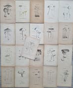 Claude Casimir Gillet (1806-1896) - Lot. of 21 tavole Les