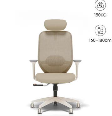 FLEXISPOT Ergonomische Bureaustoel met Eenvoudige Bediening, Verzenden, Zo goed als nieuw