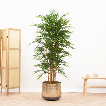 Green Bubble - Kunstplant bamboe - 180cm - Ø, Ophalen of Verzenden, Nieuw, Binnen