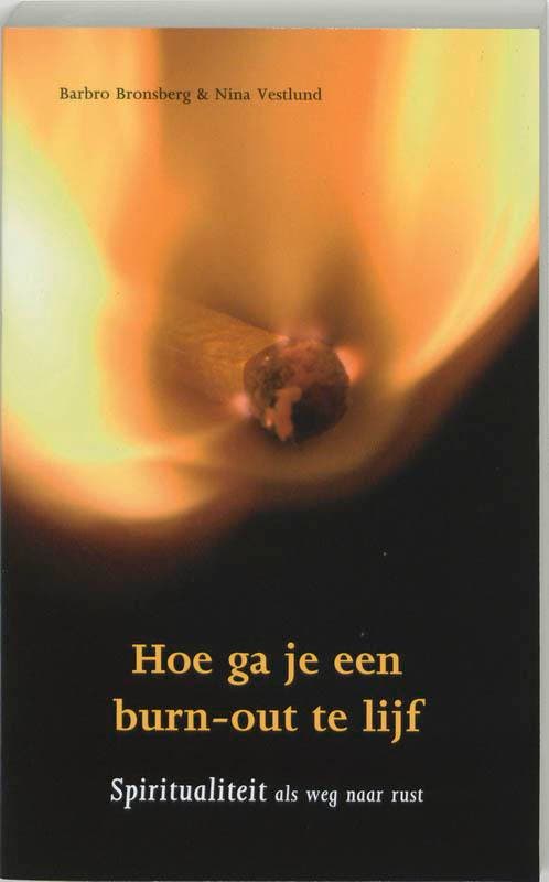 Hoe ga je een burn-out te lijf 9789025955984, Boeken, Psychologie, Zo goed als nieuw, Verzenden
