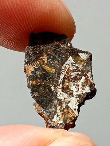 Admire meteoriet Pallasiet - 2.32 g - (1)