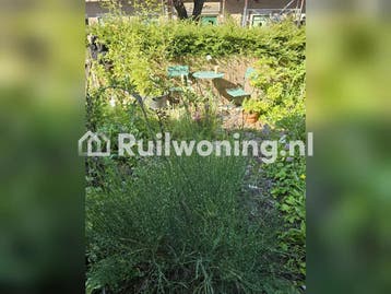 Gezellige buurt, 1 slaapkamer zonnige tuin Amsterdam, Amsterdam