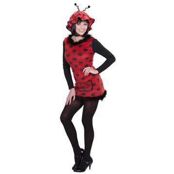 Lieveheersbeestje kostuum dames pluche, Ophalen of Verzenden, Nieuw
