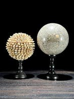 Decoratief ornament - NO RESERVE PRICE - Wonderful Pair of
