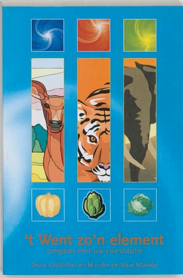 t Went zon element - T. Gottschal 9789051792454, Boeken, Verzenden, Zo goed als nieuw, T. Gottschal