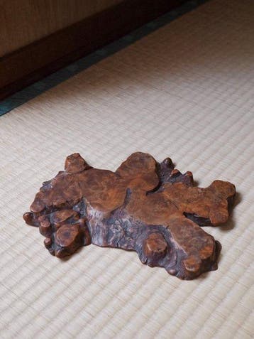 Decoratief ornament - Natuurlijke