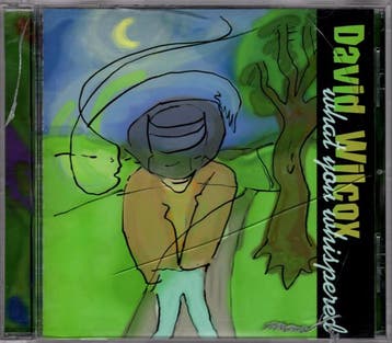 cd - David Wilcox - What You Whispered, Verzenden, Zo goed als nieuw
