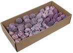 Leucodendron assortiment op draad lila brombeer doos 100, Ophalen of Verzenden, Nieuw
