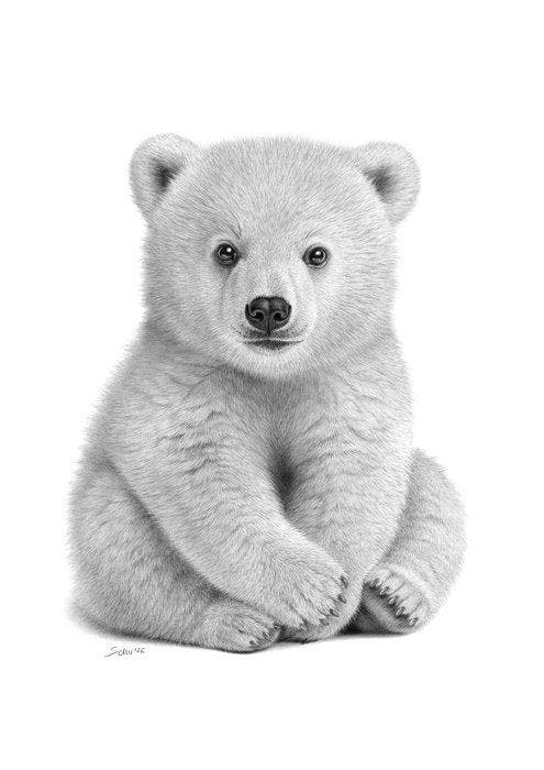 Schu - Polar Bear Cub, Antiek en Kunst, Kunst | Designobjecten