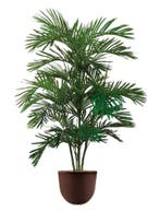 Areca Palm kunstplant, H175cm, Ophalen of Verzenden, Palm, 150 tot 200 cm
