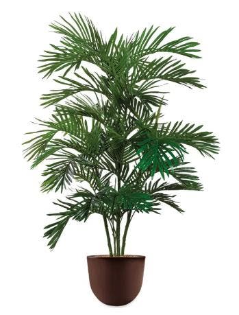 Areca Palm kunstplant, H175cm, Huis en Inrichting, Kamerplanten, Palm, 150 tot 200 cm, Ophalen of Verzenden