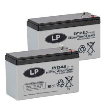2 Stuks: Landport EV12-8.0 AGM Deep Cycle accus, origineel, Verzenden, Nieuw