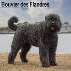 Bouvier Des Flandres (Euro) Calendar 2025 Square Dog Breed, Boeken, Verzenden, Nieuw