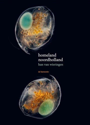 Homeland noordholland - Han van Wieringen 9789463361941, Verzenden, Zo goed als nieuw, Han van Wieringen