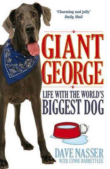 Giant George - Dave Nasser 9781849832823, Boeken, Verzenden, Gelezen, Dave Nasser