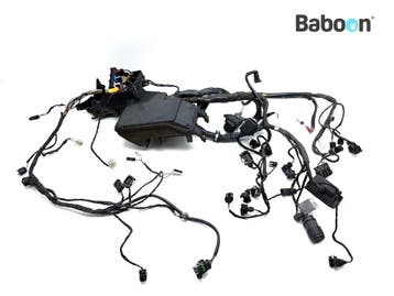 Kabelboom BMW K 1200 RS 2001-2005 + GT (K1200RS K1200GT K41), Verzenden, Gebruikt