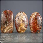 Prachtige set van versteend hout – Vrije vormen- 1352.81 g -