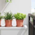 vidaXL Ronde Bloemenschalen 24 pcs Baksteenrood Ø 14 x 2 cm, Kunststof, Minder dan 30 cm, Verzenden, Minder dan 60 cm