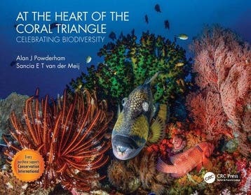 9780367428167 At the Heart of the Coral Triangle, Boeken, Verzenden, Nieuw, Alan J Powderham