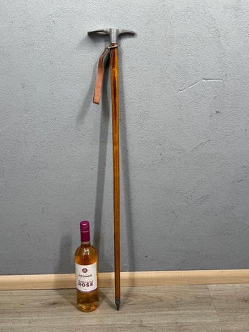 Wandelstok - Hout, Metaal - alpenstok / wandelstok