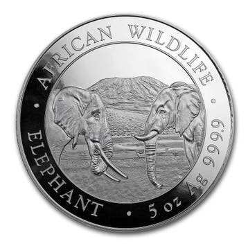 Somalische Olifant 5 oz 2020, Verzenden, Overige landen, Losse munt, Zilver