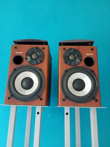 Sony - SS-CCPZ1 Compact 2-Way Bass Reflex Bookshelf, Nieuw