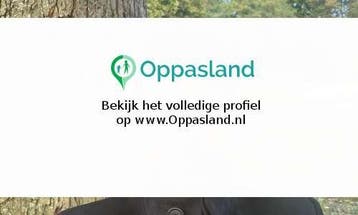 Ik ben Alhussain, 29 jaar oud en ik zoek oppaswerk in Ros..., Diensten en Vakmensen, Oppas en Kinderopvang