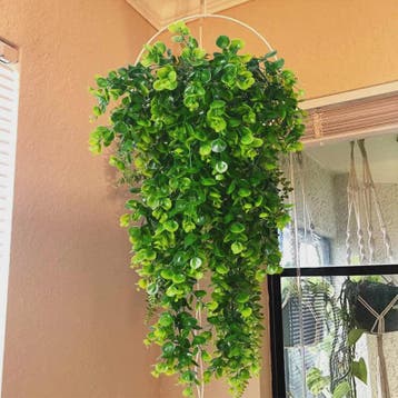 Kunst Hangplant Eucalyptus - UV-bestendig Plastic Groen voor, Verzenden