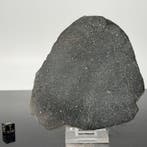 Rumuruti meteoriet XXL NWA 13685 - 62.5 g