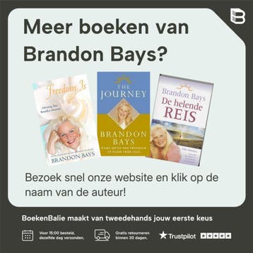 De helende reis - Brandon Bays 9789022571835, Boeken, Verzenden, Zo goed als nieuw, Brandon Bays