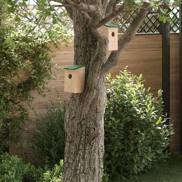 vidaXL Vogelhuisjes 10 st 12x12x22 cm massief vurenhout, Verzenden, Nieuw