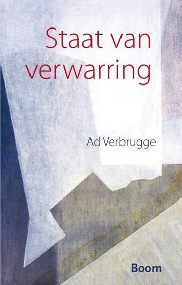 Staat van verwarring - Ad Verbrugge 9789461057013, Verzenden, Gelezen, Ad Verbrugge