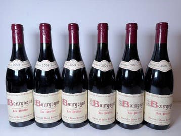 2004 Vincent et Denis Berthaut Les Prielles - Bourgogne -, Nieuw