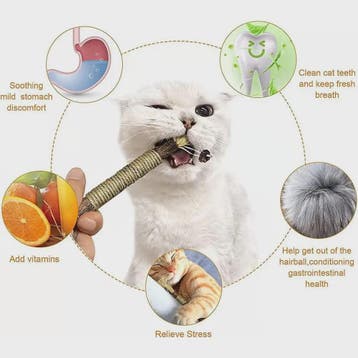 Natuurlijke Zilverrank Tandenknarsstaaf voor Katten - Speelg