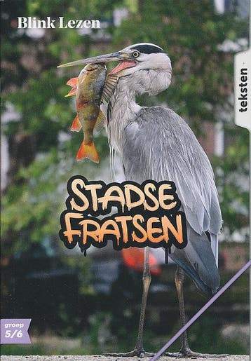 Blink Lezen Thema A-3 Stadse fratsen groep 5/6 (per set zie, Verzenden, Nieuw
