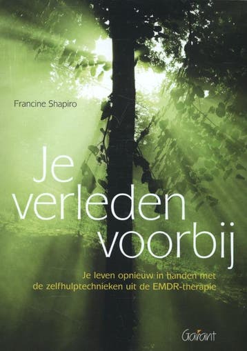 Je verleden voorbij - Francine Shapiro 9789044130317, Verzenden, Gelezen, Francine Shapiro