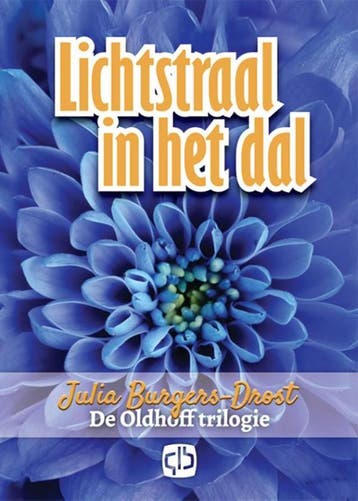 Lichtstraal in het dal / Grote letter bibliotheek / 3171, Verzenden, Gelezen, Julia Burgers-Drost