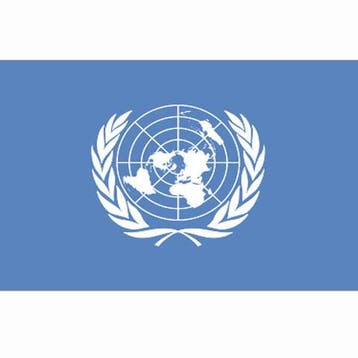 UN United Nations vlag, Nieuw
