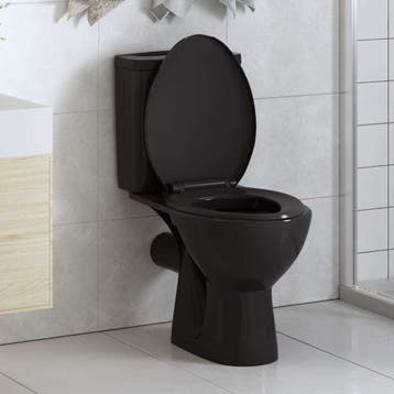 vidaXL Toiletbril soft-close met quick-release ontwerp zwart, Verzenden, Nieuw