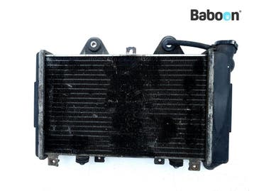 Radiateur Triumph Daytona 1200 1992-1999, Motoren, Verzenden, Gebruikt
