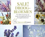 Droogbloemen, Droogboeketten, Krans en Meer, Huis en Inrichting, Ophalen of Verzenden, Nieuw