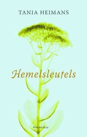 Hemelsleutels - Heimans, Boeken, Verzenden, Gelezen