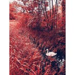 Frank Machalowski - Black Water