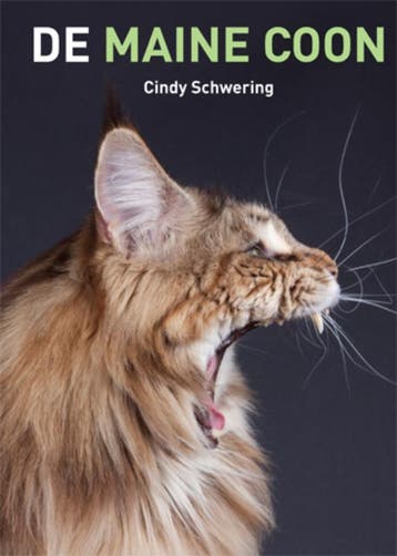 De Maine Coon - Cindy Schwering 9789077462713, Boeken, Verzenden, Zo goed als nieuw, Cindy Schwering