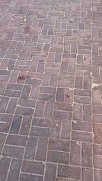 Oud gebakken keiformaat Delftshaven (op pallets), Ophalen of Verzenden, Gebruikt, Klinkers