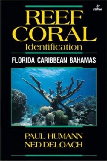 9781878348548 Reef Coral Identification Paul Humann, Boeken, Verzenden, Nieuw, Paul Humann