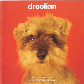 cd - Droolian - Droolian, Verzenden, Zo goed als nieuw