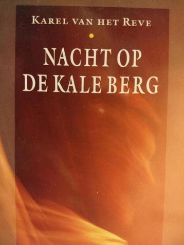 Nacht op de kale berg / Salamander / 716 - Reve, Boeken, Verzenden, Gelezen, Reve