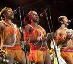 Femi Kuti Tickets Burgerweeshuis Te Koop